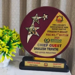 Award certificate 5